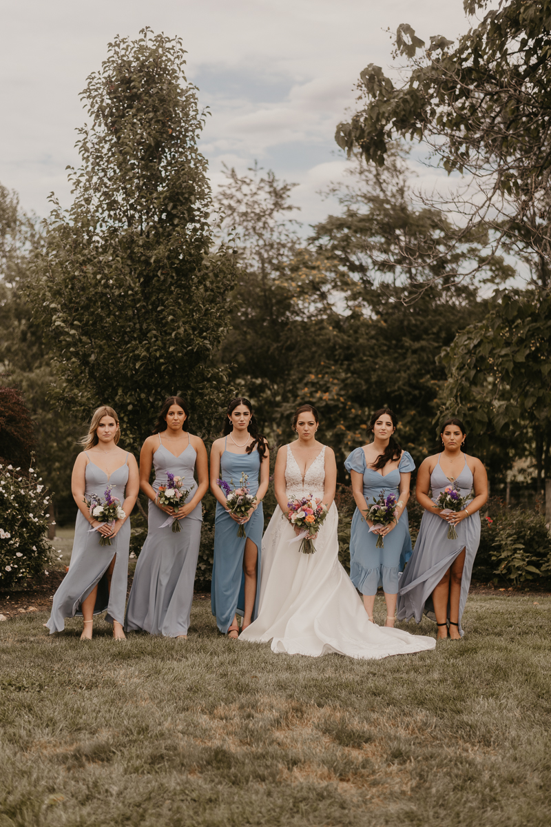 Beautiful bridal party portraits at Dulany's Overlook in Frederick, Maryland by Britney Clause Photography