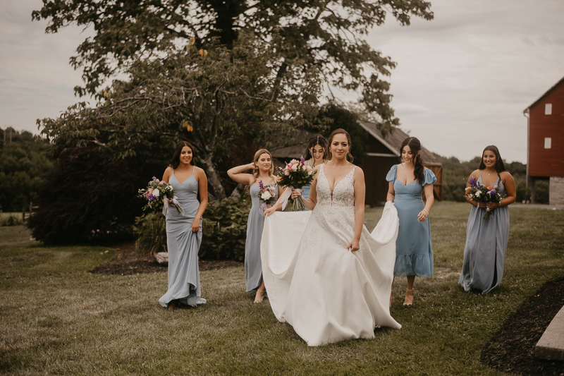 Beautiful bridal party portraits at Dulany's Overlook in Frederick, Maryland by Britney Clause Photography