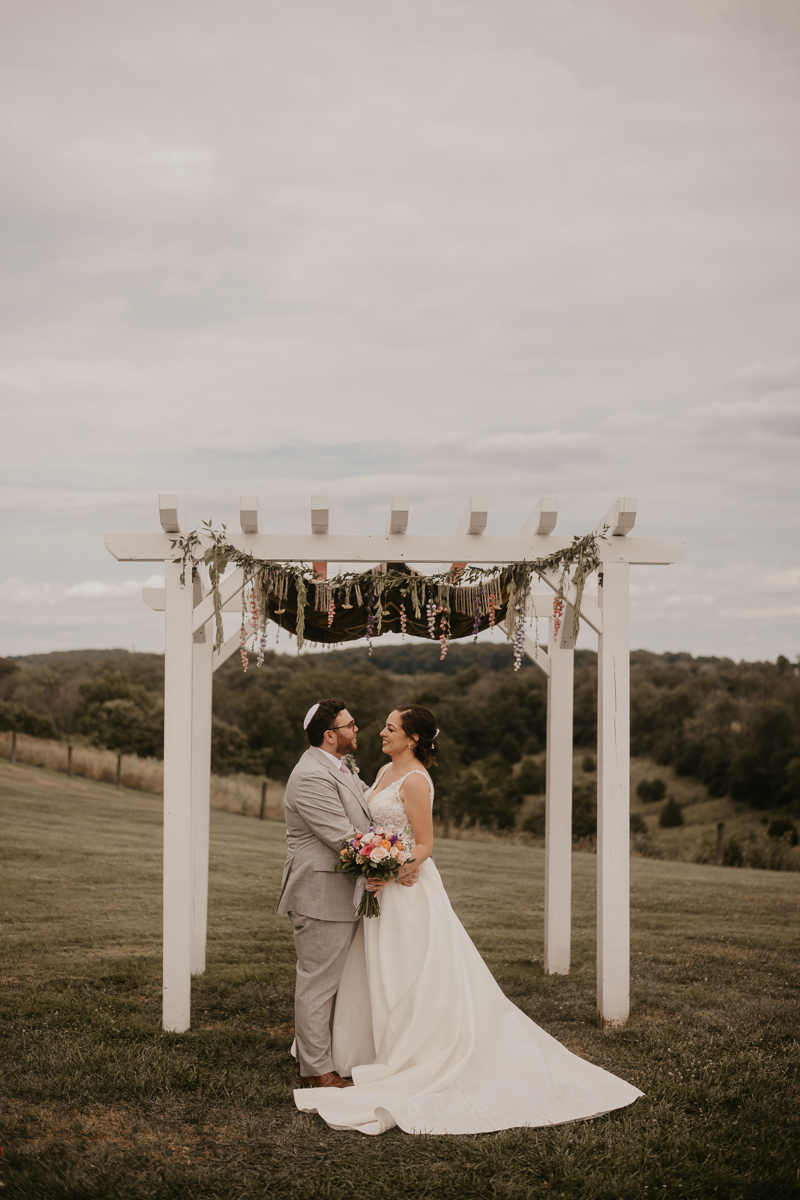 Stunning bride and groom wedding portraits at Dulany's Overlook in Frederick, Maryland by Britney Clause Photography