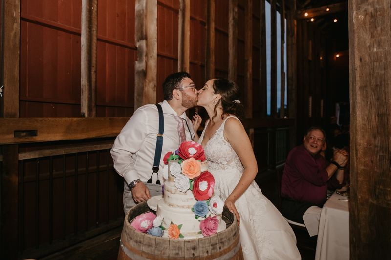 An exciting evening wedding reception by Purnell from Washington Talent at Dulany's Overlook in Frederick, Maryland by Britney Clause Photography