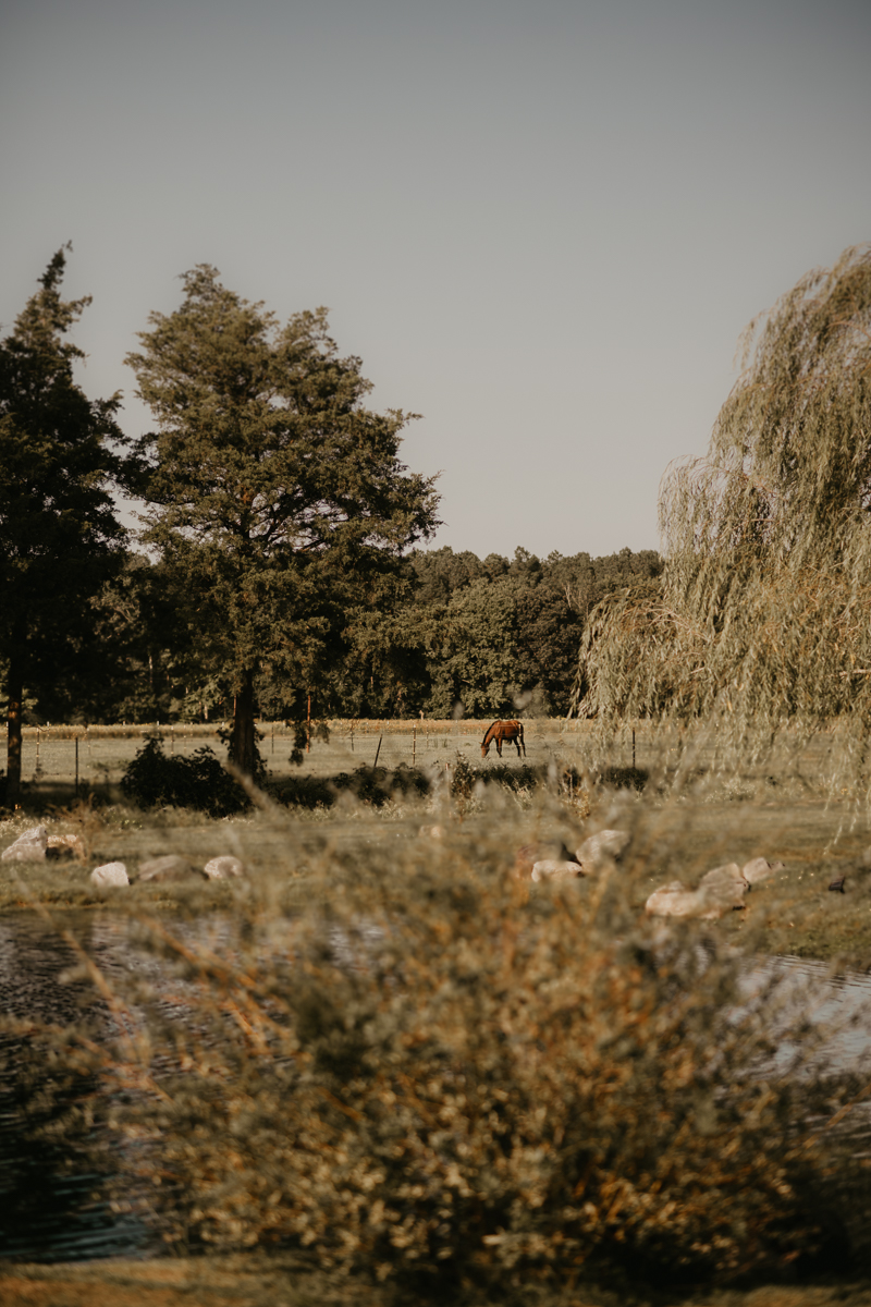 Amazing boho country wedding ceremony at Castle Farm in Snow Hill, Maryland by Britney Clause Photography