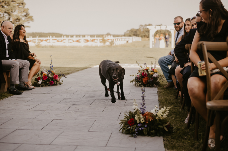 Amazing boho country wedding ceremony at Castle Farm in Snow Hill, Maryland by Britney Clause Photography