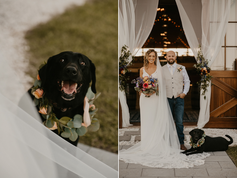 Beautiful family portraits at Castle Farm in Snow Hill, Maryland by Britney Clause Photography