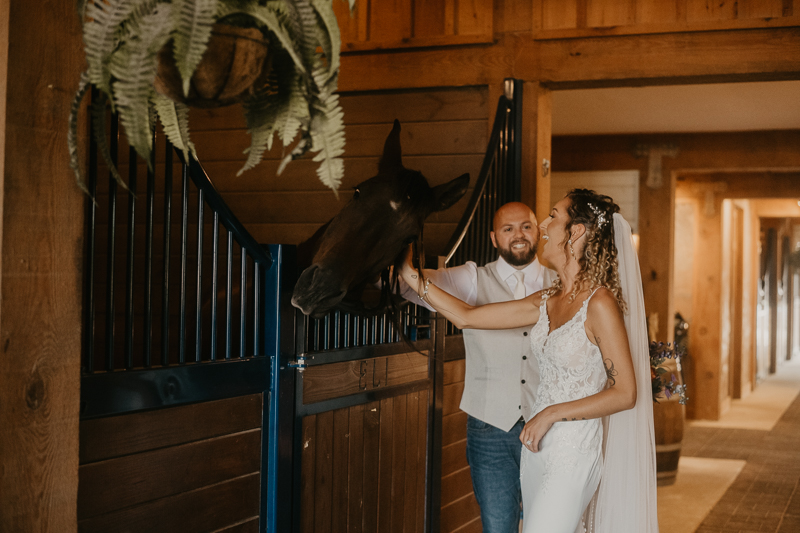 Stunning bride and groom wedding portraits at Castle Farm in Snow Hill, Maryland by Britney Clause Photography