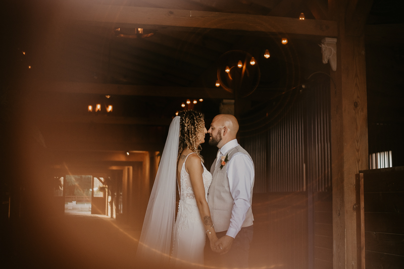 Stunning bride and groom wedding portraits at Castle Farm in Snow Hill, Maryland by Britney Clause Photography