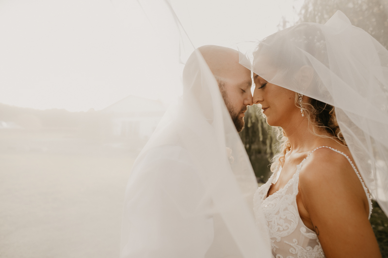 Stunning bride and groom wedding portraits at Castle Farm in Snow Hill, Maryland by Britney Clause Photography