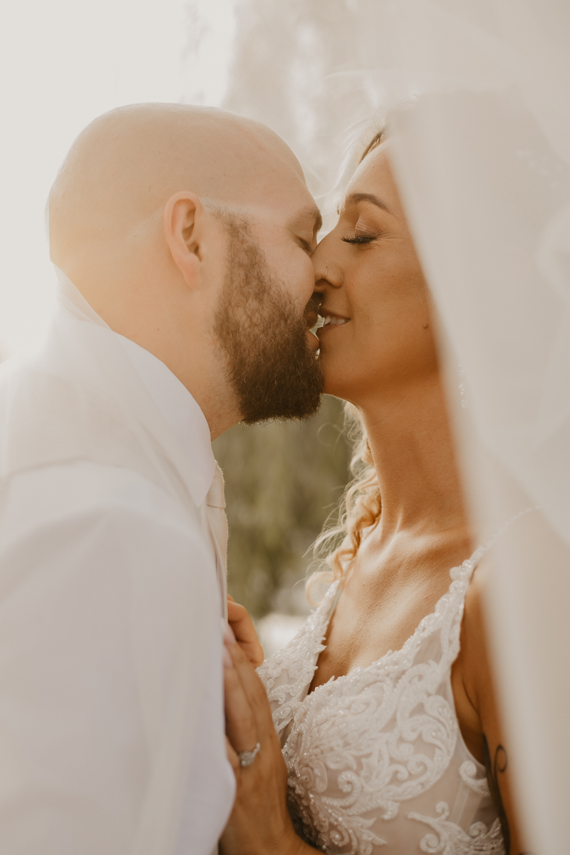 Stunning bride and groom wedding portraits at Castle Farm in Snow Hill, Maryland by Britney Clause Photography