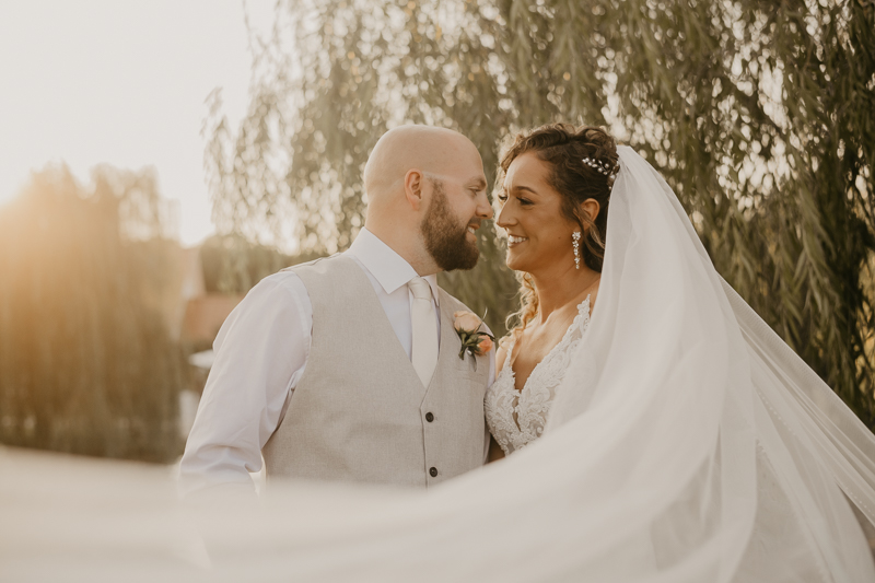 Stunning bride and groom wedding portraits at Castle Farm in Snow Hill, Maryland by Britney Clause Photography