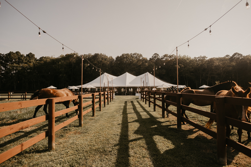 Gorgeous boho country reception decor at Castle Farm in Snow Hill, Maryland by Britney Clause Photography