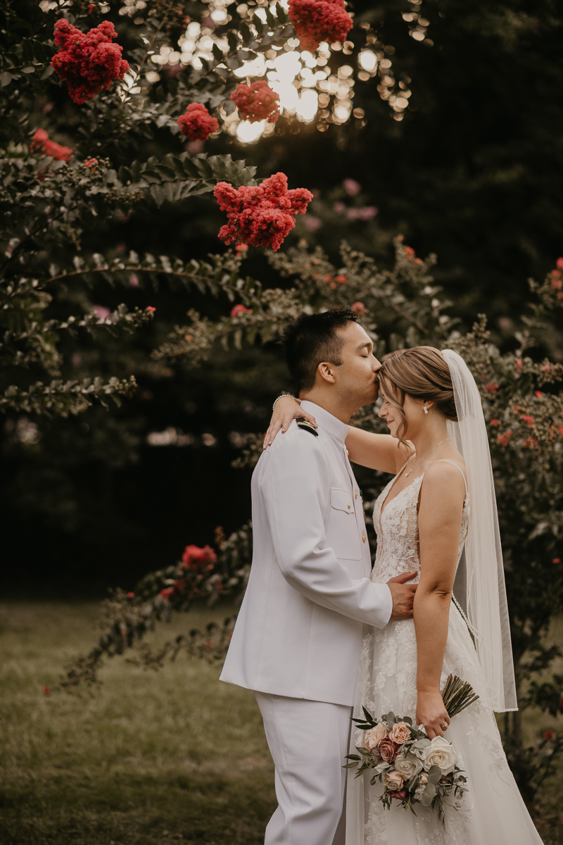 Stunning bride and groom wedding portraits at Rose Hill Manor in Leesburg, Virginia by Britney Clause Photography