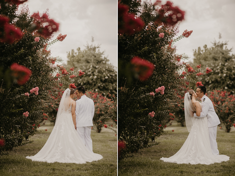 Stunning bride and groom wedding portraits at Rose Hill Manor in Leesburg, Virginia by Britney Clause Photography