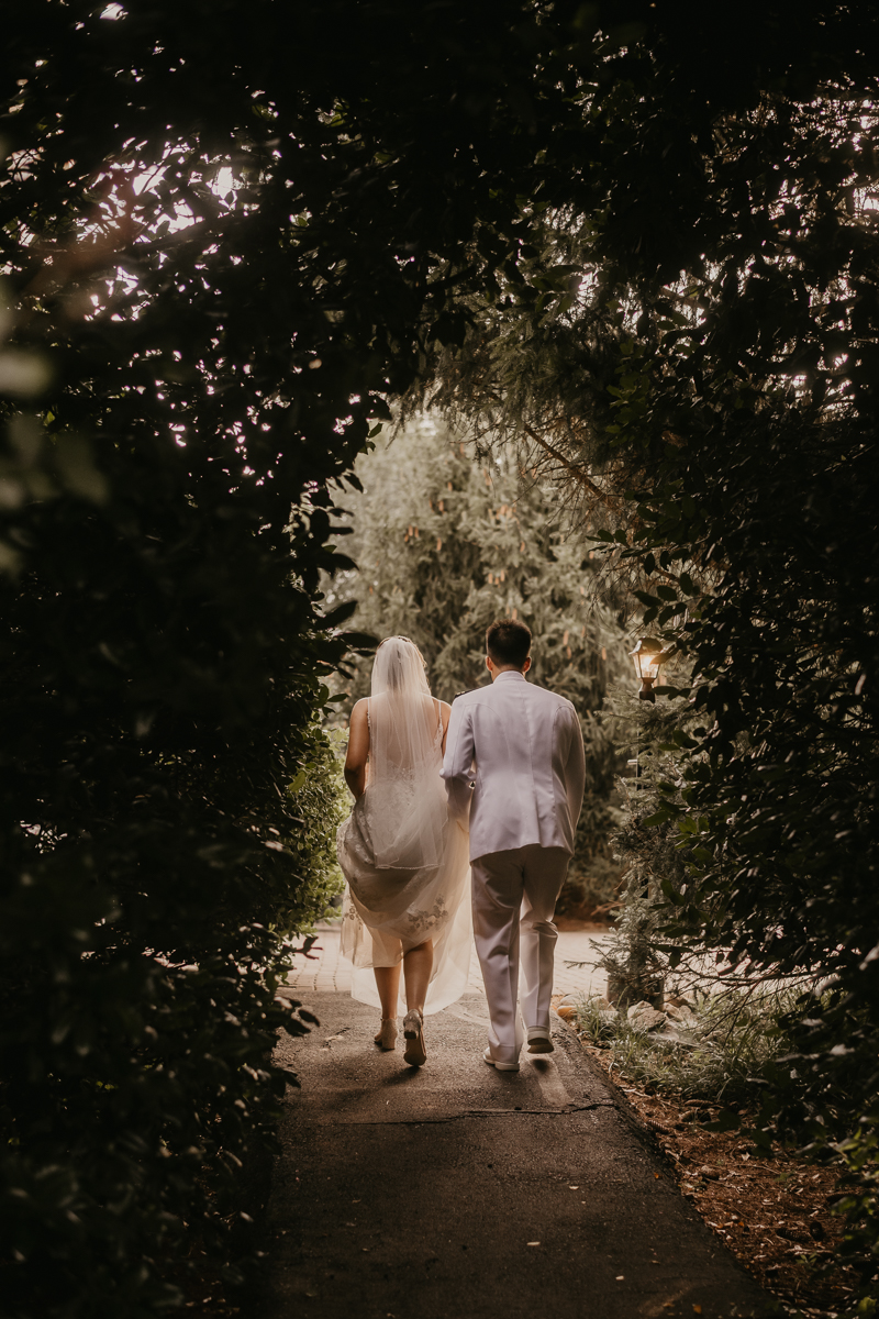 Stunning bride and groom wedding portraits at Rose Hill Manor in Leesburg, Virginia by Britney Clause Photography