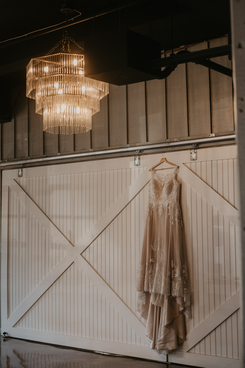 A stunning Essense of Australia wedding dress from Precious Memories at Main Street Ballroom in Ellicott City, Maryland by Britney Clause Photography