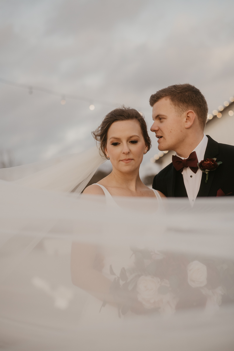 Stunning bride and groom sunset wedding portraits at Kylan Barn in Delmar, Maryland by Britney Clause Photography