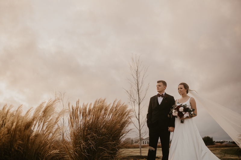 Stunning bride and groom sunset wedding portraits at Kylan Barn in Delmar, Maryland by Britney Clause Photography