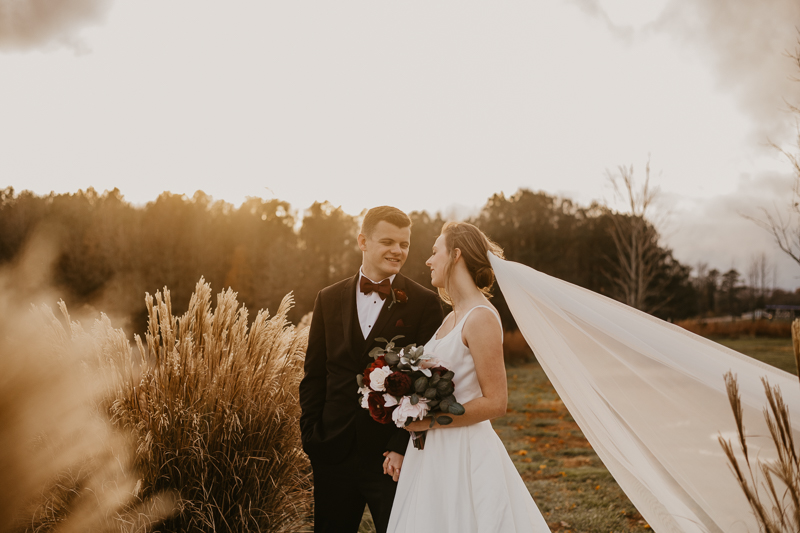 Stunning bride and groom sunset wedding portraits at Kylan Barn in Delmar, Maryland by Britney Clause Photography