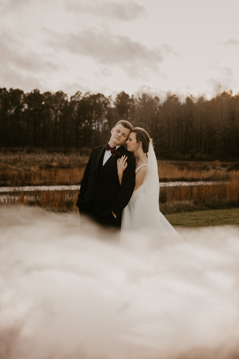 Stunning bride and groom sunset wedding portraits at Kylan Barn in Delmar, Maryland by Britney Clause Photography